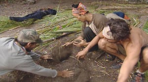 Survivor, Season 14 Episode 8 image