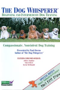 The Dog Whisperer: Beginning and Intermediate Dog Training