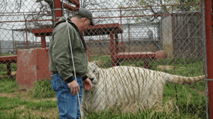 Animal ER, Season 2 Episode 1 image