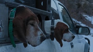 Mountain Men, Season 11 Episode 6 image