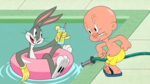 Looney Tunes Cartoons, Season 1 Episode 4 image