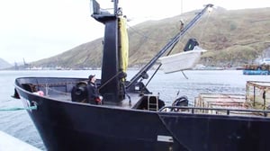 Deadliest Catch, Season 8 Episode 1 image
