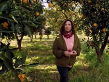 My Greek Table with Diane Kochilas, Season 1 Episode 1 image