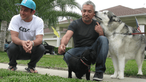 Dog Whisperer with Cesar Millan, Season 9 Episode 10 image