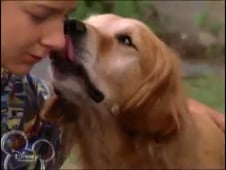 Even Stevens, Season 1 Episode 17 image