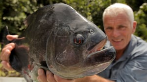 River Monsters, Season 6 Episode 1 image