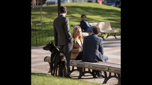 Falling Water, Season 2 Episode 3 image