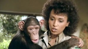 The A-Team, Season 3 Episode 17 image