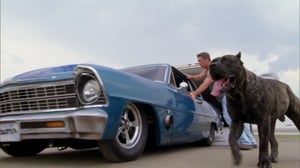 Street Outlaws: Memphis, Season 2 Episode 9 image