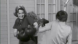The Donna Reed Show, Season 1 Episode 2 image