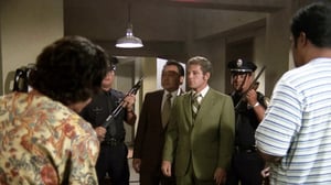 Hawaii Five-O, Season 4 Episode 11 image