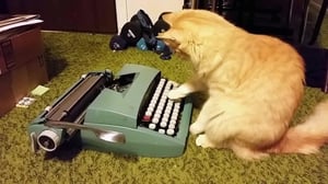 America's Funniest Videos: Animal Edition, Season 1 Episode 11 image