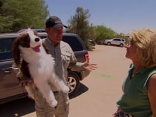 Dangerous Encounters, Season 7 Episode 2 image