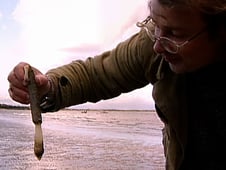 Escape to River Cottage, Season 1 Episode 6 image