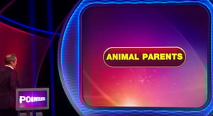 Pointless Celebrities, Season 4 Episode 4 image