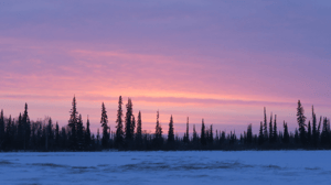 Life Below Zero, Season 13 Episode 6 image