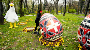 The Amazing Race, Season 38 Episode 8 image