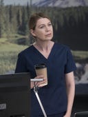 Grey's Anatomy, Season 14 Episode 21 image