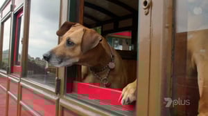 Coastal Railways with Julie Walters, Season 1 Episode 4 image