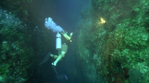 Expedition X, Season 5 Episode 7 image