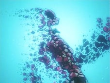 Dragon Ball Z, Season 16 Episode 11 image