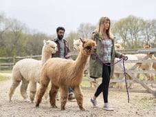 Back to Life, Season 2 Episode 6 image