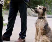 Gossip Girl, Season 5 Episode 3 image