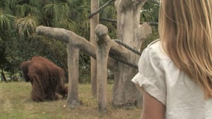 Monsterquest, Season 1 Episode 9 image