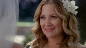 Grey's Anatomy, Season 12 Episode 22 image