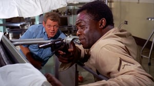 Hawaii Five-O, Season 1 Episode 13 image