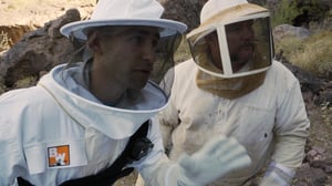 Brave Wilderness, Season 2 Episode 4 image