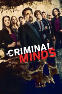 Criminal Minds as Ashley Seaver
