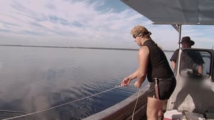 Swamp People, Season 4 Episode 11 image