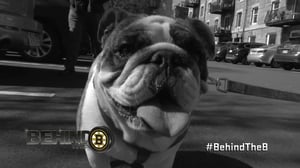 Behind the B, Season 4 Episode 11 image