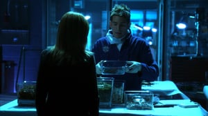 CSI: Crime Scene Investigation, Season 5 Episode 6 image