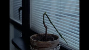 Dekalog, Season 1 Episode 2 image