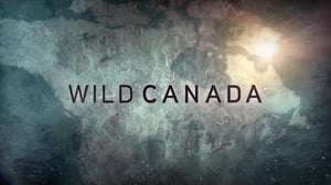 The Nature of Things, Season 53 Episode 16 image