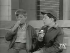 Leave It to Beaver, Season 4 Episode 33 image