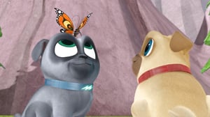 Puppy Dog Pals, Season 1 Episode 16 image