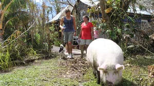 Bondi Vet, Season 2 Episode 9 image