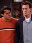 Friends, Season 4 Episode 19 image