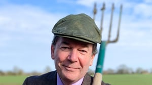 Bargain Hunt, Season 62 Episode 25 image