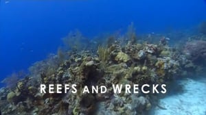 The Nature of Things, Season 46 Episode 20 image