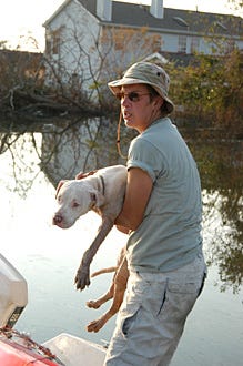 Nature - Katrina's Animal Rescue