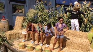 Big Brother, Season 13 Episode 18 image