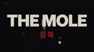 Storyville, Season 24 Episode 15 image