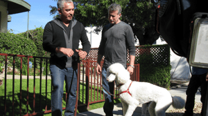 Dog Whisperer with Cesar Millan, Season 9 Episode 9 image