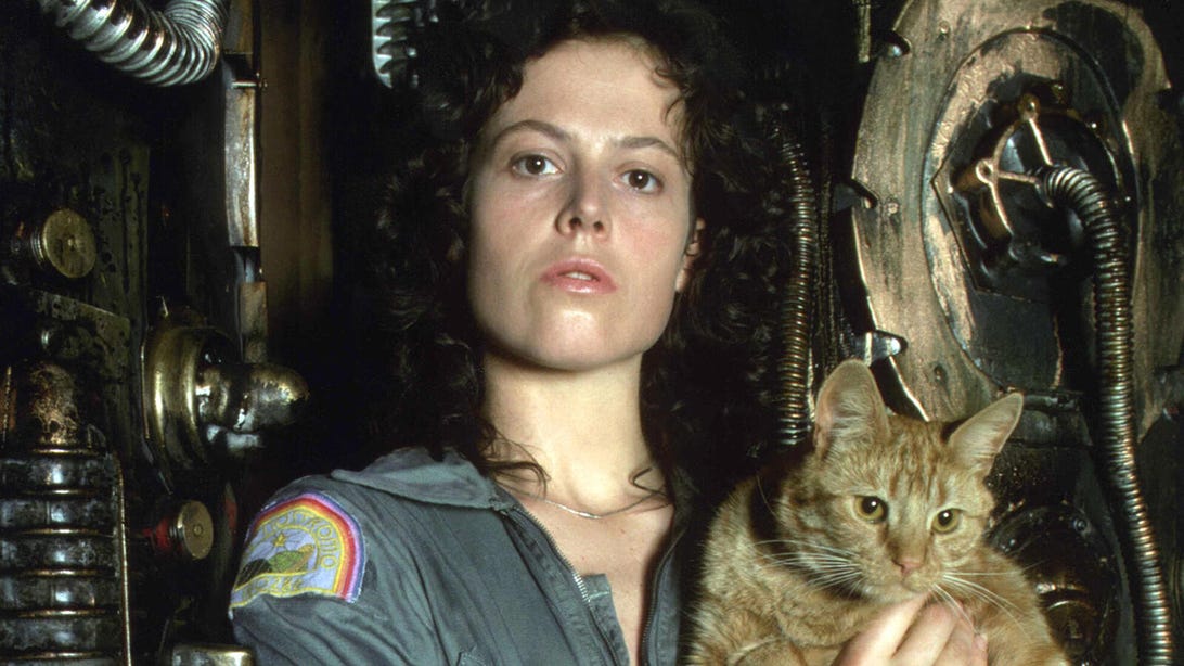 Everything to Know About FX's Alien TV Series