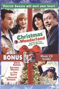 Christmas in Wonderland as Wayne Saunders