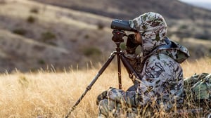 Apex Predator, Season 1 Episode 2 image